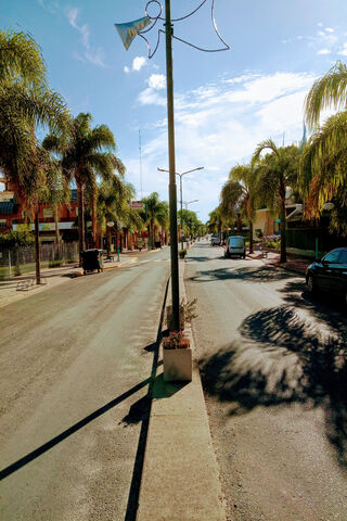 Sunny Vibes on Chill Street 🌴☀️