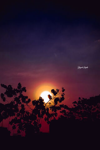 Whispers of Twilight 🌅✨