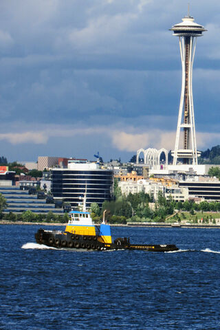 Seattle's Icon: The Space Needle 🌌