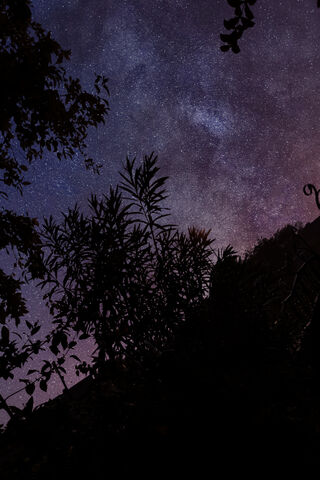 Celestial Dreams: A Night Beneath the Cosmos