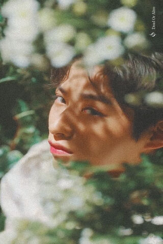 Whispers of Nature: The Enigmatic Priyanka Sharma 🌿✨