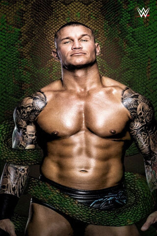 The Viper Strikes: Randy Orton Unleashed! 🐍💪