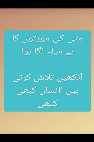 Reflections of Humanity: Status 15