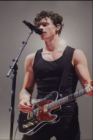 Shawn Mendes: The Heartfelt Performer 🎤✨