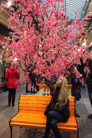 Blossoms of Serenity 🌸