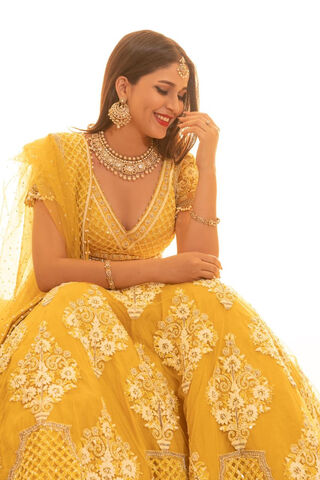 Radiant Elegance: Lavanya Tripathi in Traditional Splendor