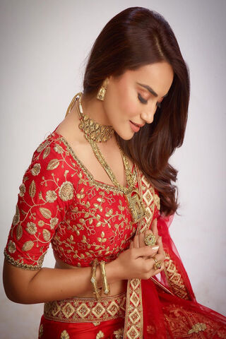 Elegance in Red: A Celebration of Tradition