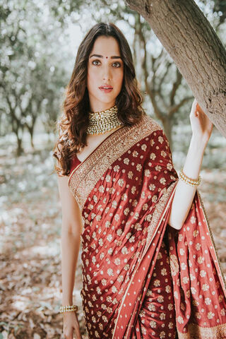 Elegance in Tradition: A Saree Story