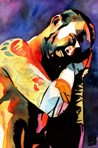 CM Punk WWE