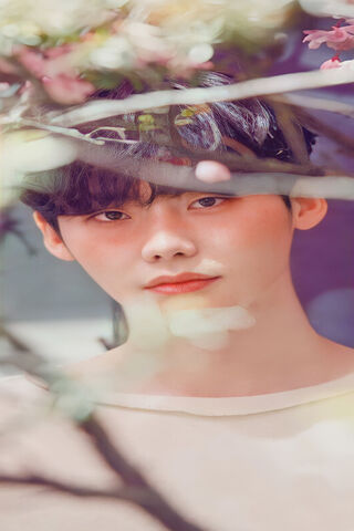 Charming Moments: The Allure of Lee Jong Suk 🌸✨