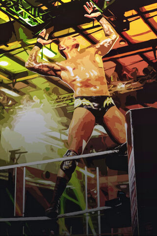 Randy Orton