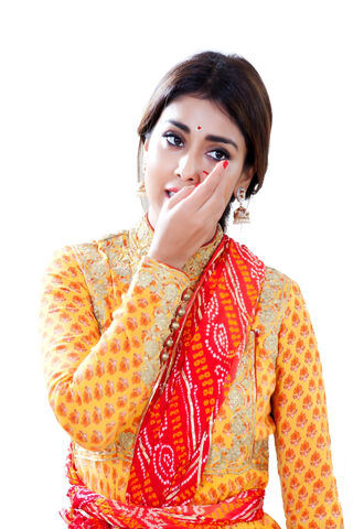 Elegance in Tradition: Shreya Sharan's Graceful Charm
