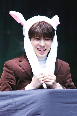 Wonwoo's Adorable Bunny Moment 🐰✨