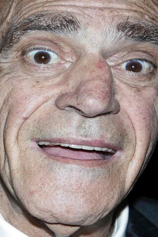 Timeless Expressions: The Unique Charm of Abe Vigoda