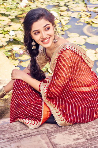 Radiant Elegance: A Glimpse of Tradition