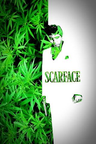 Scarface: The Green Legacy 🍃💰