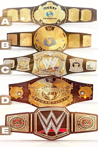 Ultimate Champion's Legacy Belt 🏆✨