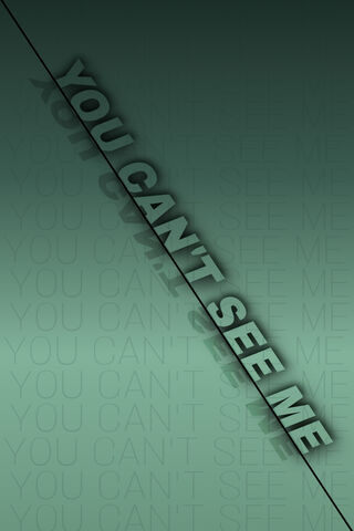 Hidden in Plain Sight