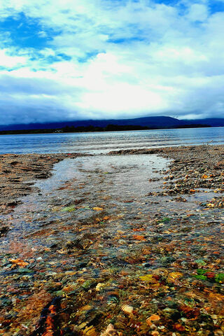 Tranquil Waters: Nature's Serenity 🌊✨