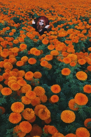 Catrina Among the Marigolds 🌼💀