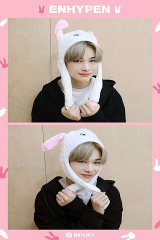Bunny Vibes with Enhypen! 🐰✨