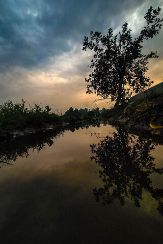 Serenity at Dusk: A Nature's Reflection 🌅🌳