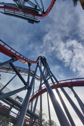 Thrills Above at Busch Gardens 🎢🌤️