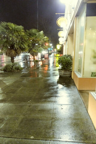 Sandy Blvd: A Rainy Night in Portland 🌧️✨