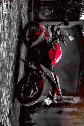 Divya Bharathi 88: The Bold Ride