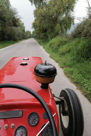 Cruising the El Camino: A Journey on Wheels 🚜✨