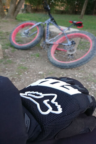 Gear Up for Adventure with Fox Racing! 🏍️✨