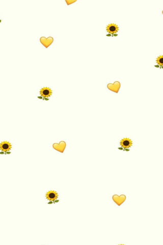 Aesthetic Sunflower