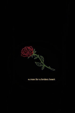 A Rose for the Heart's Wounds 🌹💔