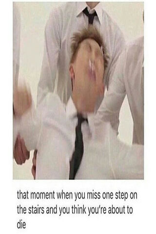 When Life Takes a Tumble! 😂