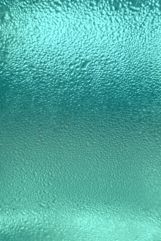 Dewy Serenity: The Beauty of Water Drops