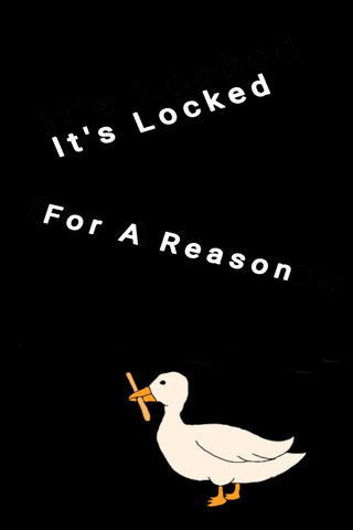 The Secret of the Locked Duck 🦆🔒