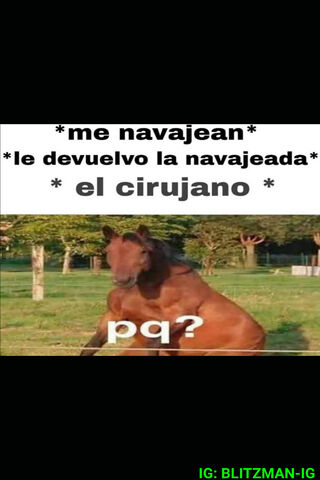 When Horses Get Sassy! 🐴😂