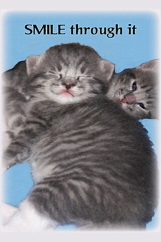 Purrfectly Happy Kittens! 😺💖