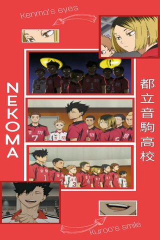 Nekoma Team: The Spirit of Teamwork! 🏐✨