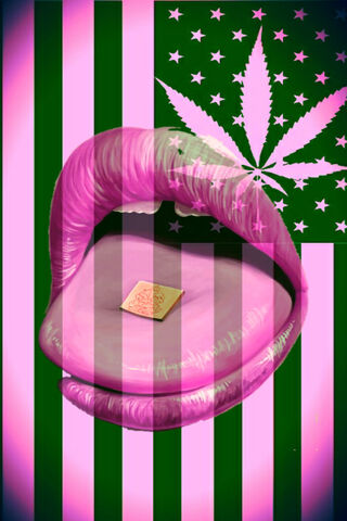 Psychedelic Vibes: A Journey Through Color