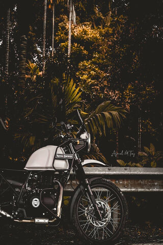 Adventure Awaits: The Bullet Royal Enfield