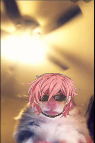 Yarichin Yuri: The Feline Superstar! 🐾✨