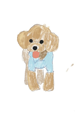 Hond the Playful Pup 🐶