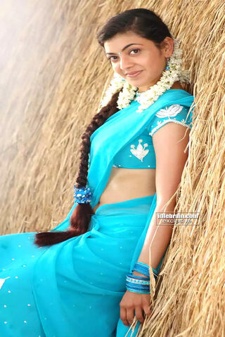 Elegance in Blue: A Traditional Charm