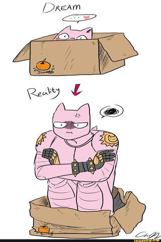 Killer Queen's Box of Dreams and Reality 🎭📦