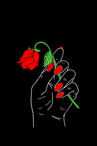 Fading Romance 🌹
