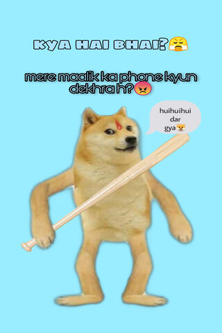 Cheems the Fearless: A Dog with Attitude! 🐶⚾