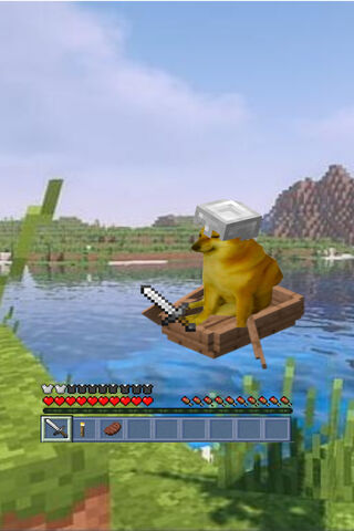 Chilling Doge: The Adventurous Canine Explorer 🐶🚤