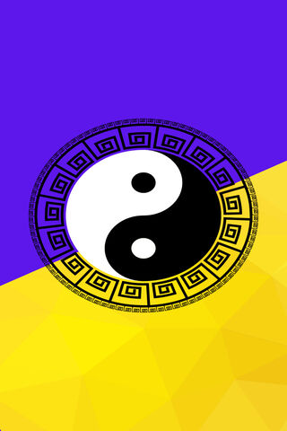 Harmony in Color: The Drip Japonês Design