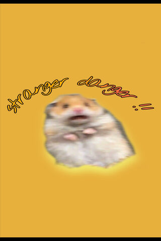 Hamster Alert! 🚨